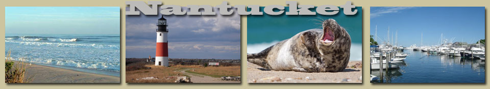 fun in nantucket pet friendly