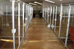 Cape Cod pet resort, pet boarding near Nantucket, Cape Cod dog daycare, pet boarding Nantucket pet sitting