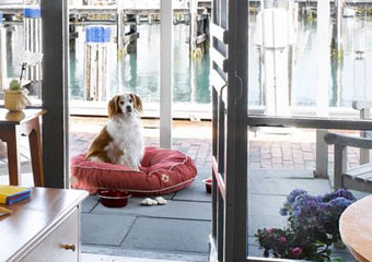 pet friendly hotel in salt lake city