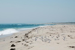 washing pond beach