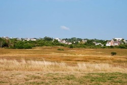 Tupancy links off leash area and trail, nantucket dog walks, walking trails in nantucket