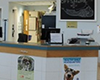pet daycare in nantucket