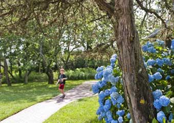 something natural in nantucket