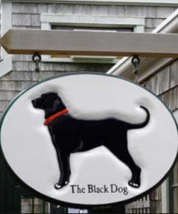 dog friendly nantucket