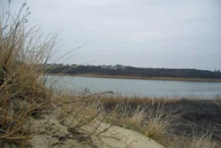 washing pond beach